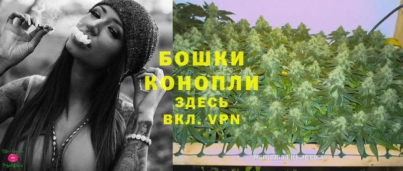 Шишки марихуана Ganja  что такое   Добрянка 